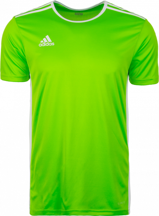 Adidas - Entrada 18 Game Jersey - Solar Green & biały